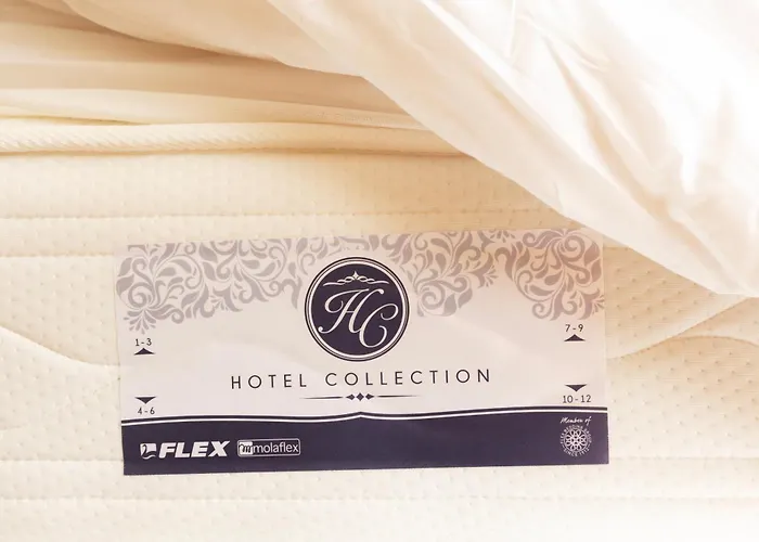 & Gascona 캡슐호텔 *